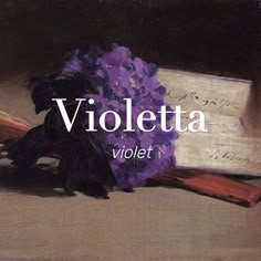 the cover of violetta violett, with an open book and purple flowers on it