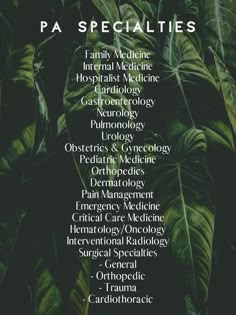 the words pa specialities written in black on a green background with tropical plants and leaves