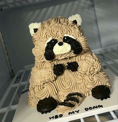 a cake made to look like a racoon sitting on top of a shelf