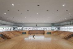 an empty gymnasium with wooden seats and two dogs on leashes in front of them