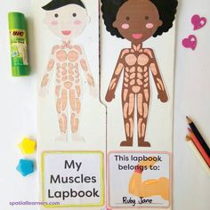 two children's bookmarks with the words my muscles lapbook and an image of a human body