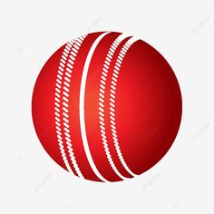 a red cricket ball with white stitching on the side, logo, illustration png and psd