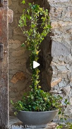 a potted plant sitting on top of a table next to a stone wall and door