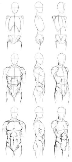 an image of the back view of a man's torso in different positions and directions