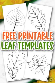 free printable leaf templates for kids to color and draw with the leaves on them