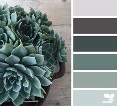 a potted plant sitting on top of a wooden table next to a color swatch