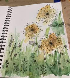 a watercolor drawing of dandelions in the grass