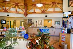 the inside of a hotel lobby with plants and signs on the counter, along with televisions