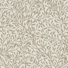 an olive tree wallpaper with leaves and berries