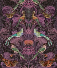 an image of colorful birds on purple background