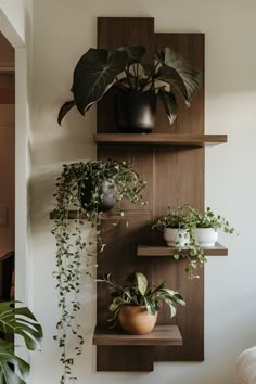 three wooden shelves with plants on them