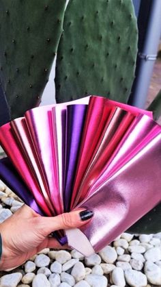 a hand holding a pink and purple fan in front of a cactus plant with rocks