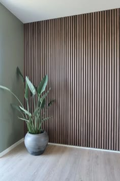 a potted plant sitting on top of a hard wood floor next to a wall