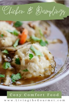 chicken and dumplings are in a white bowl with green garnish on top