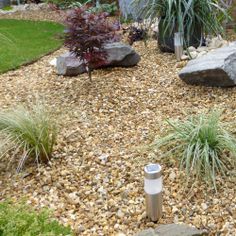 a garden with rocks and plants in it