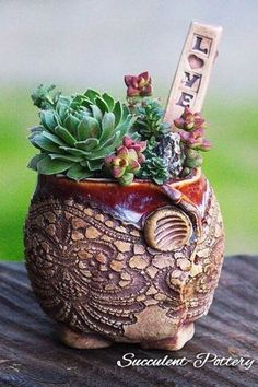 an owl planter with succulents in it sitting on a wooden table