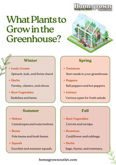 what plants to grow in the greenhouse? info sheet for homeschoolers com