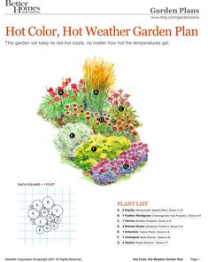 a garden plan with flowers and plants in it