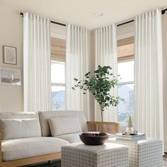 a living room filled with furniture and a potted plant