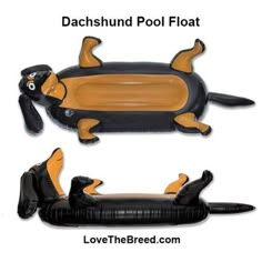 an inflatable dachshund pool float is shown with two cats on it