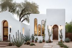 a white stucco house with cactus and succulents in the front yard at dusk