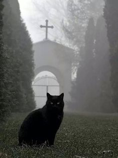 a black cat sitting on top of a lush green field next to a cross in the background