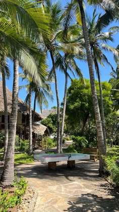 a ping pong table surrounded by palm trees