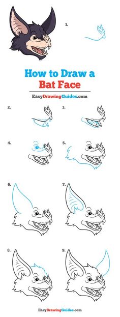 how to draw a bat face with easy step - by - step instructions for children