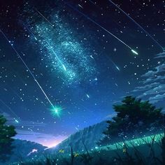 the night sky is filled with stars and trees