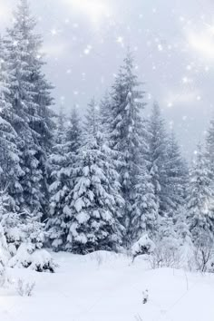 snow covered pine trees in front of a snowy sky with stars and sparkles on them