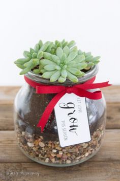 a glass jar with some plants in it