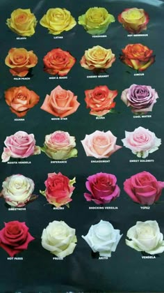 a bunch of different colored roses on a black background with the names of each flower