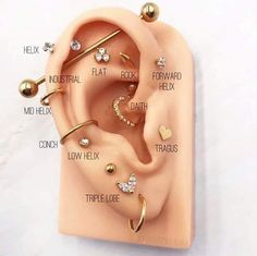 an ear is shown with different types of piercings