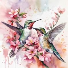 watercolor painting of two hummingbirds with pink flowers