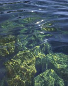 the water is very clear and blue with green algae growing on it's surface