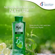 Tired of rough and dry hair?  Try out the new #Nyle Naturals Dryness Control #shampoo by CavinKare that will fight dryness and give you soft and smooth hair.  #PersonalCare #India #CavinKare Natural Shampoo, Dry Hair, Dish Soap Bottle, Cleaning Supplies, Coconut Oil, Personal Care, Healing, India