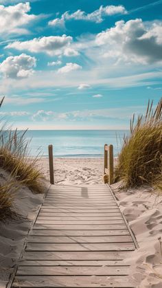 a wooden walkway leading to the beach with tall grass and blue sky in the background