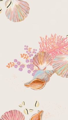 an image of seashells and seaweed on a white background with pink flowers