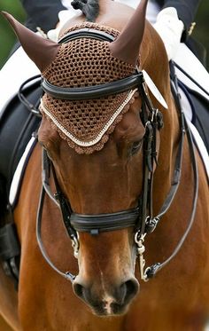 a close up of a horse wearing a blinder on it's head and bridle