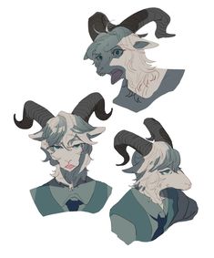 four different angles of an animal's head with horns and long, gray hair