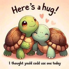 two turtles hugging each other with the caption here's a hug i thought you could use one today