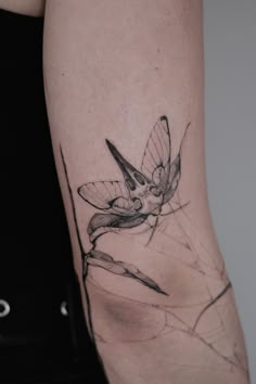 a woman's leg with a butterfly tattoo on it, and the bottom part of her arm