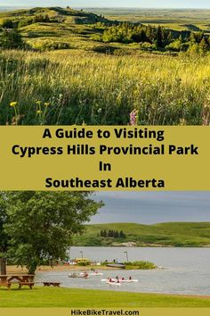 a guide to visiting cypress hills provincial park in southeast alberta