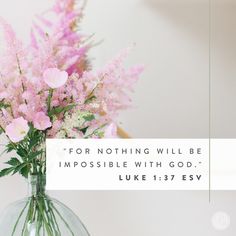 a vase filled with pink flowers on top of a table