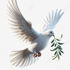 dove of peace white dove olive branch white illustration peace dove white dove olive branch png Olive Branch With Dove Tattoo, Dove Of Peace Art, Dove Holding Olive Branch, Dove Olive Branch Tattoo, Dove With Olive Branch Tattoo, Drawing Of A Dove, Dove Png, Dove And Olive Branch, Dove Olive Branch