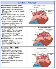 the diagram shows different stages of breathing