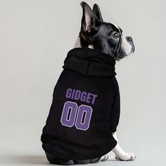 a dog wearing a black hoodie with the number 00 on it's chest