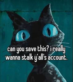 a black cat with blue eyes and the words can you save this? i really wanna to