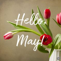 a vase filled with red and pink tulips on top of a table