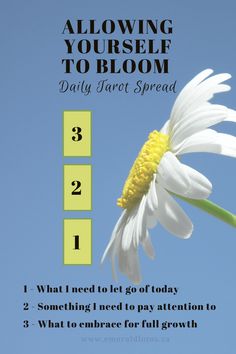 a white flower with the words, allowing yourself to bloom daily tarot spread 1 what needs to let go of today 2 something i need to pay attention to 3 what to embrace for full growth